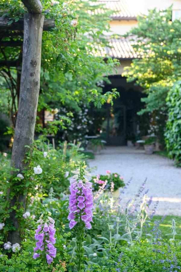 Villino Di Porporano Bed & Breakfast Parma Ngoại thất bức ảnh