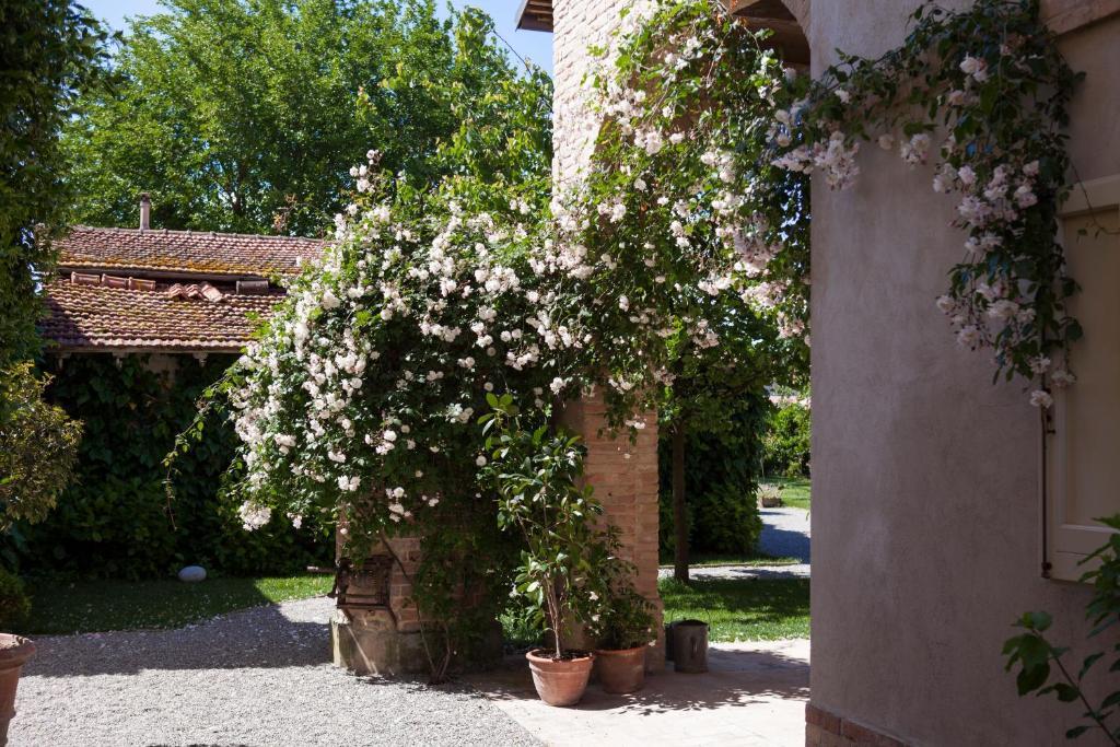 Villino Di Porporano Bed & Breakfast Parma Ngoại thất bức ảnh
