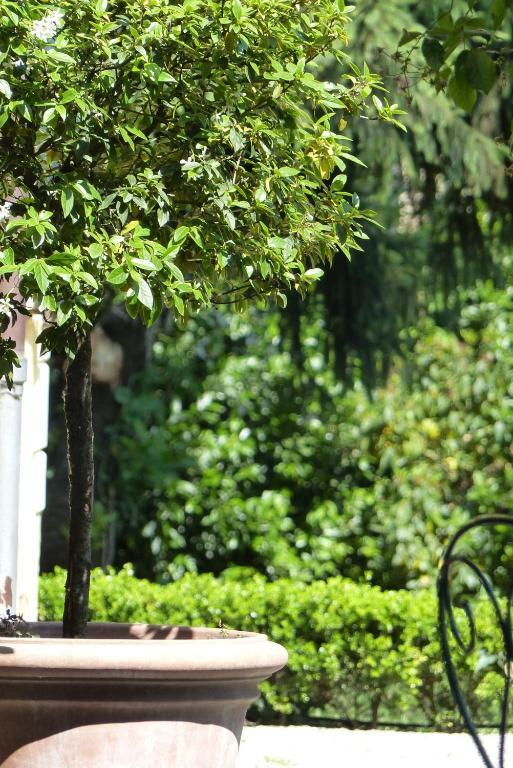 Villino Di Porporano Bed & Breakfast Parma Ngoại thất bức ảnh