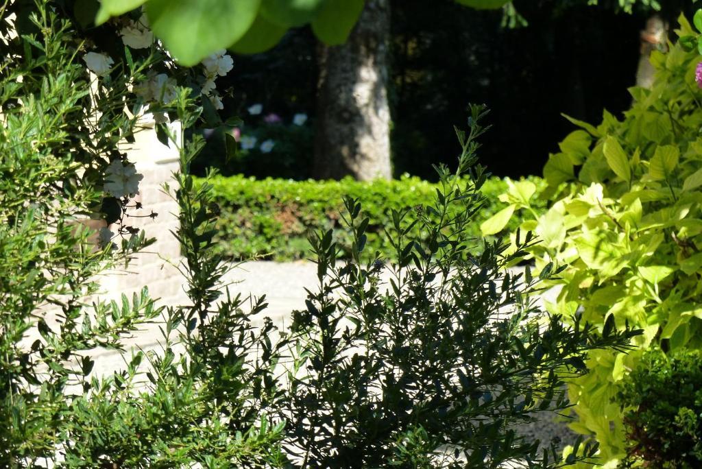 Villino Di Porporano Bed & Breakfast Parma Ngoại thất bức ảnh